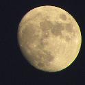 DSCN4269