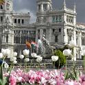Madrid apr2009 (266)