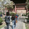 2010 Xi'an 1-2apr2010 (265)