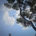 Bordighera 17-18set2011 (120) 1600x1060