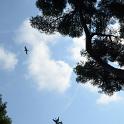 Bordighera 17-18set2011 (121) 1600x1060