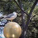 Bordighera 17-18set2011 (148) 1600x1060