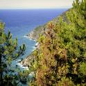 Cinque Terre 19set2011 (1) 1600x1060