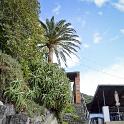 Cinque Terre 19set2011 (280) 795x1200