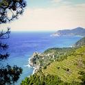 Cinque Terre 19set2011 (38) 795x1200