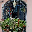 Cinque Terre 19set2011 (88) 795x1200