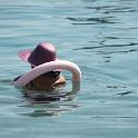 Sicilia 2012 (151)
