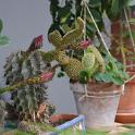 Sicilia 2012 (201)