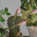 Sicilia 2012 (257)