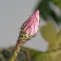 Sicilia 2012 (258)