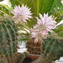 Sicilia 2012 (279)
