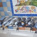 Sicilia 2012 (399)