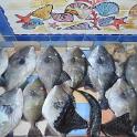 Sicilia 2012 (402)