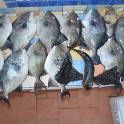 Sicilia 2012 (403)