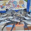 Sicilia 2012 (414)