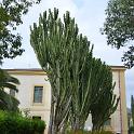 Sicilia 2012 (451)
