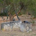 Sicilia 2012 (459)