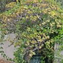 Sicilia 2012 (466)