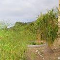Sicilia 2012 (468)