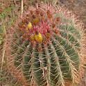 Sicilia 2012 (480)