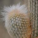 Sicilia 2012 (484)