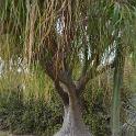 Sicilia 2012 (485)