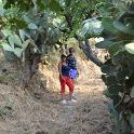 Sicilia 2012 (576)