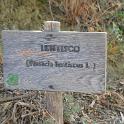 Sicilia 2012 (578)