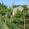 Sicilia 2012 (607)