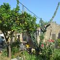 Sicilia 2012 (608)