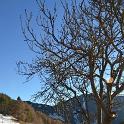 Cislon-Trodena 30dic2012 (14) 795x1200