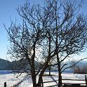 Cislon-Trodena 30dic2012 (15) 795x1200