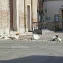 Zone terremotate Cavezzo 9ago2012  (59)