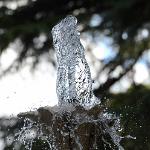 Giba-Nikon D7000 (1565) 795x1200