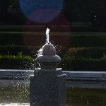 Giba-Nikon D7000 (1571) 795x1200