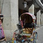 Giba-Nikon D7000 (802) 795x1200