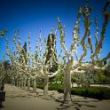 Barcellona 2-6mag2015 foto Giba (377) 1600x1060