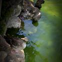 Barcellona 2-6mag2015 foto Giba (418) 795x1200