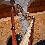 2015 Palermo 4-5set2015 (335)
