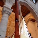 2015 Palermo 4-5set2015 (338)