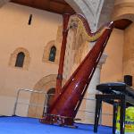 2015 Palermo 4-5set2015 (340)