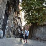2015 Palermo 4-5set2015 (361)
