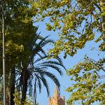 2015 Palermo 4-5set2015 (546)