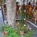 2015 S.Stefano di Camastra 15set2015 (51)