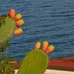 2015 Sicilia S.Gregorio 5-17set2015 (769)