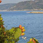 2015 Sicilia S.Gregorio 5-17set2015 (770)