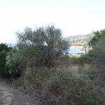 2015 Sicilia S.Gregorio 5-17set2015 (782)