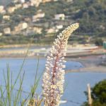 2015 Sicilia S.Gregorio 5-17set2015 (799)