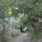 2015 Sicilia S.Gregorio 5-17set2015 (820)