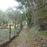 2015 Sicilia S.Gregorio 5-17set2015 (827)